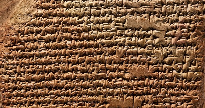 How Language Formed — And Why Professional Vocabulary Collapsed